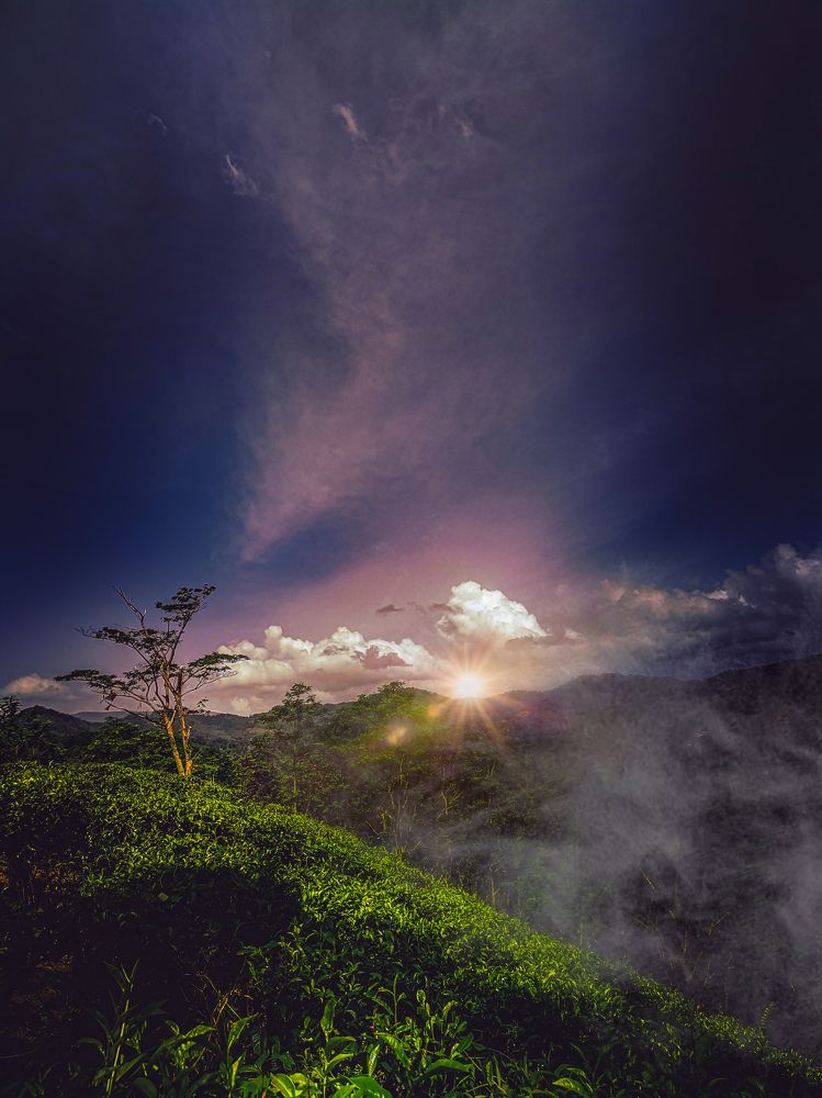 Photograph by Hewage K-vin R