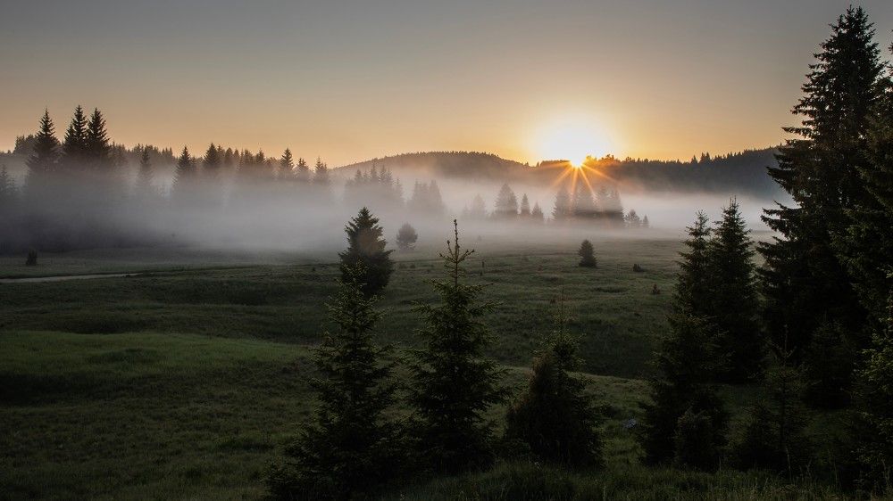 Photograph by Roman Bevzenko