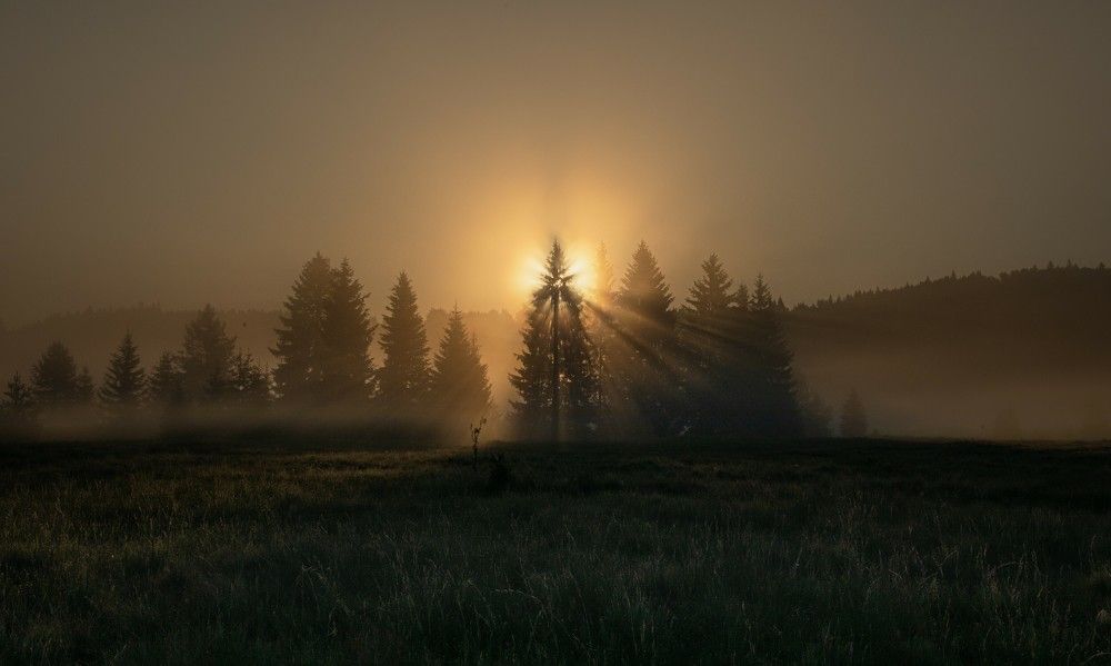 Photograph by Roman Bevzenko