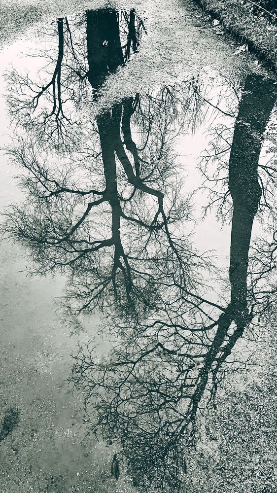 Photograph by Alena Poklonskaia
