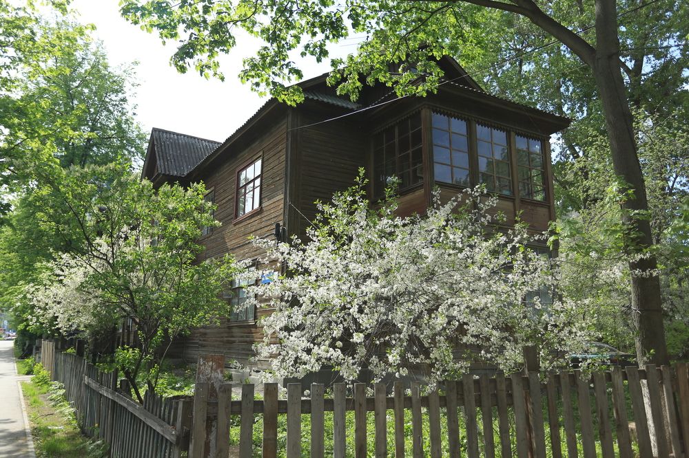 Фотография автора Татьяна