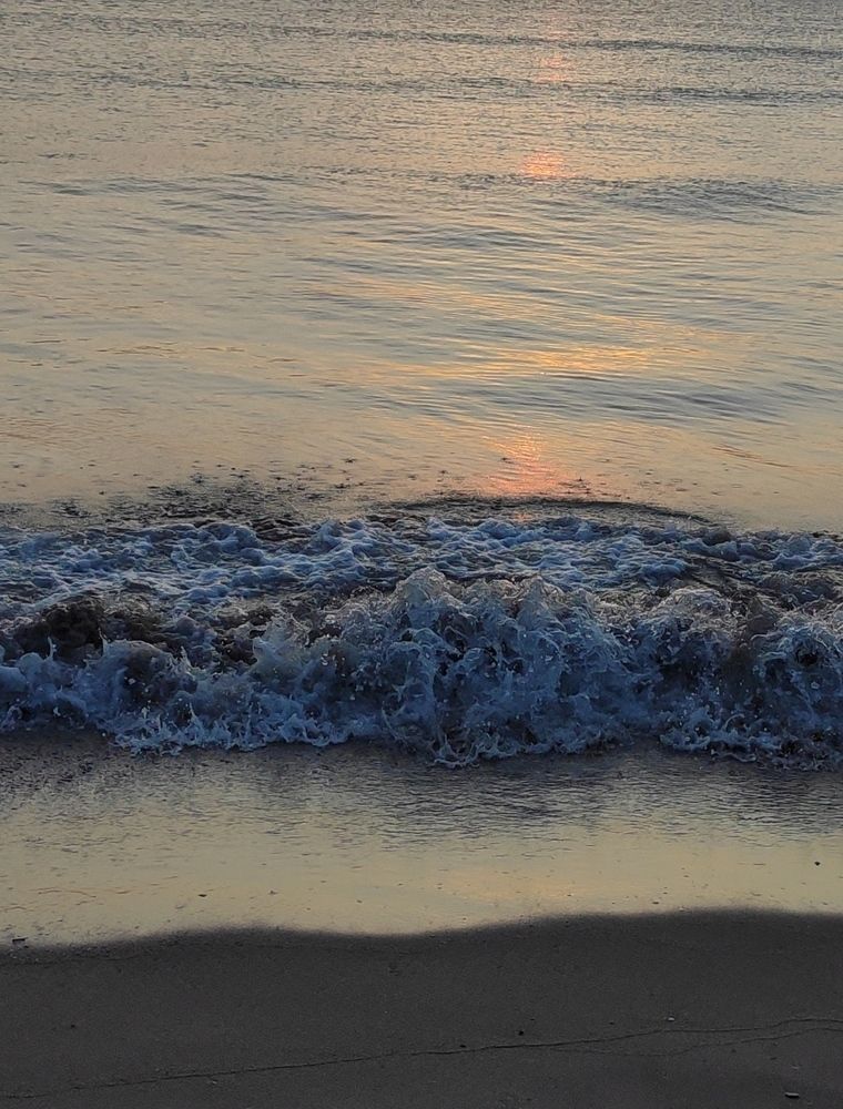 Зарождение Венеры