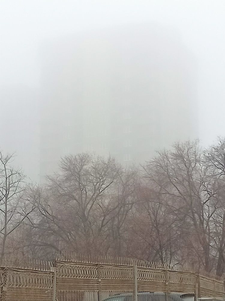 Photograph by Елизавета Мишина