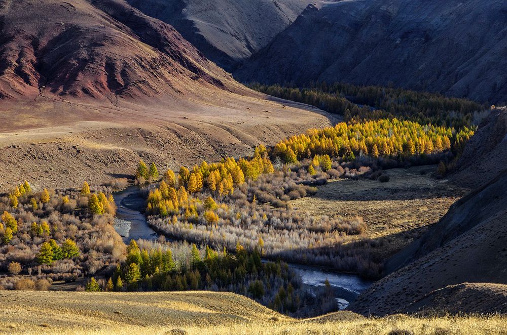 Photograph by Валерий Чичкин