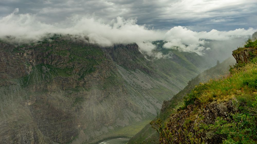Фотография автора Елена Сова