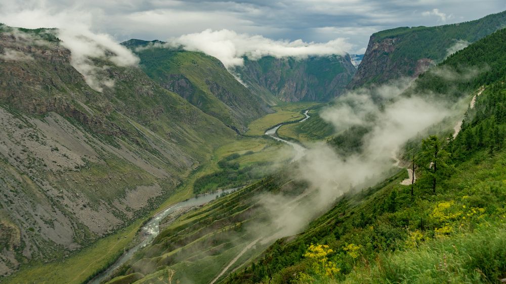 Фотография автора Елена Сова