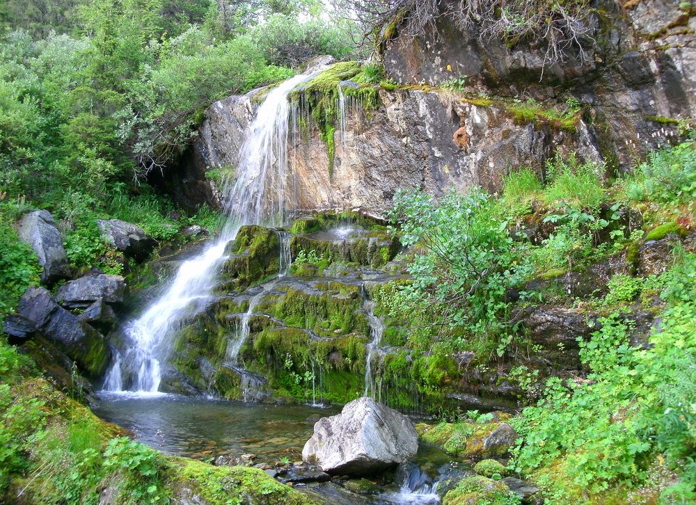 Photograph by Галина Ильясова