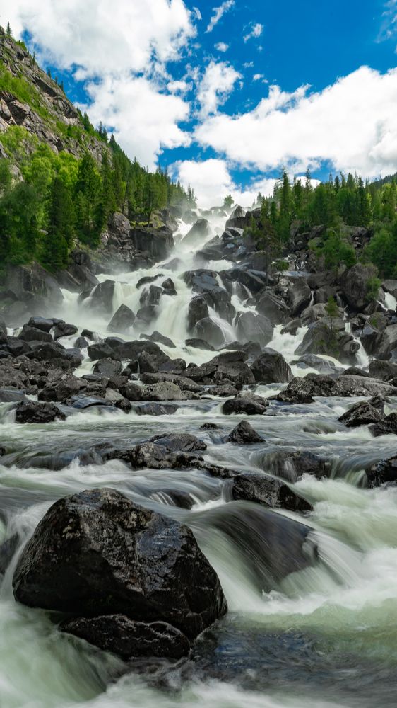 Фотография автора Елена Сова