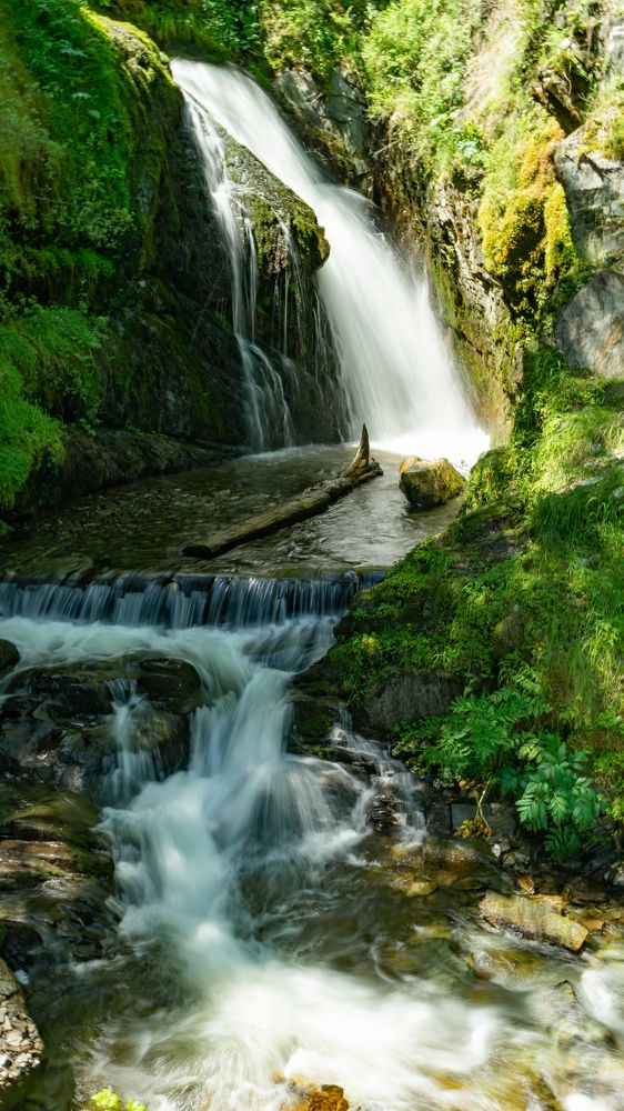 Фотография автора Елена Сова