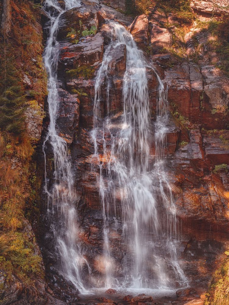 Фотография автора Анастасия Мазурева