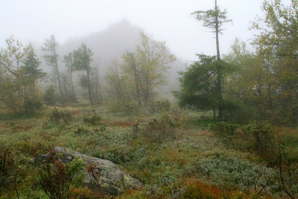 Photograph by Галина Ильясова