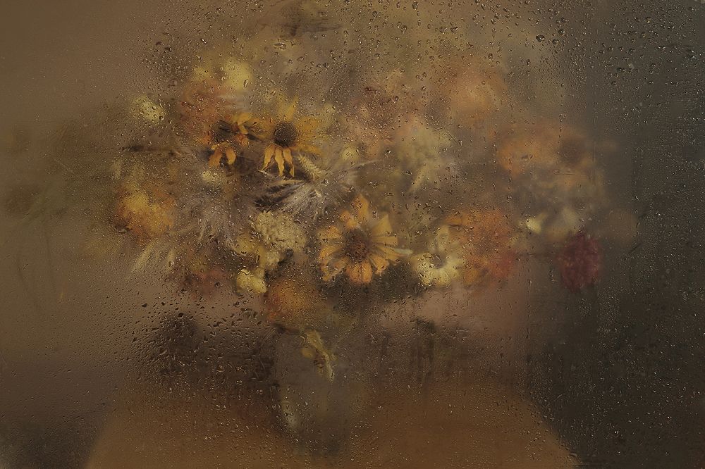 Photograph by Вера  Павлухина