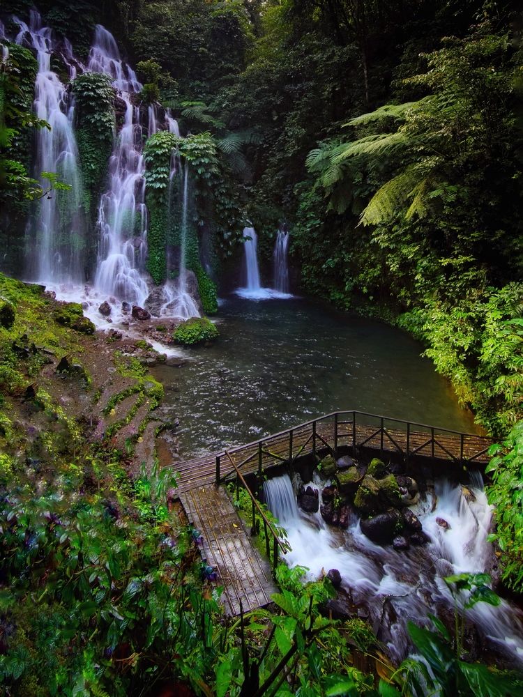 Фотография автора Henri Fitriadi