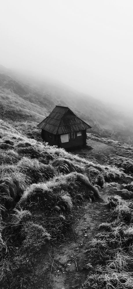Photo #6809449