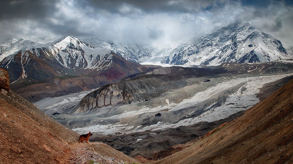 Всматриваясь в вечность