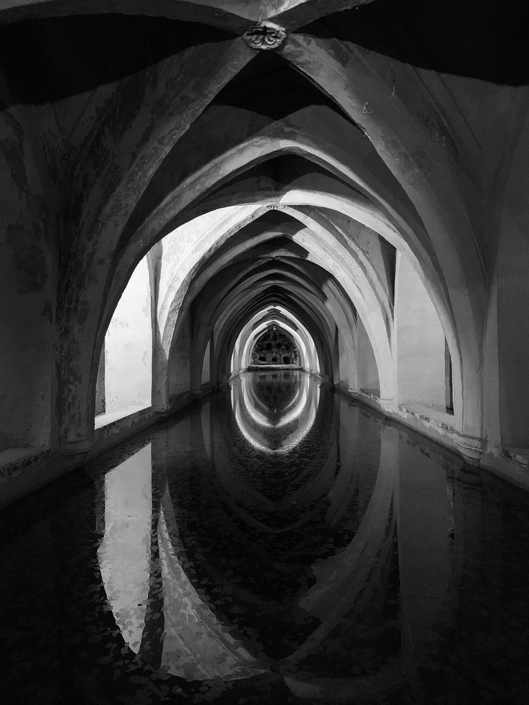 Photograph by Olena Pliukhina