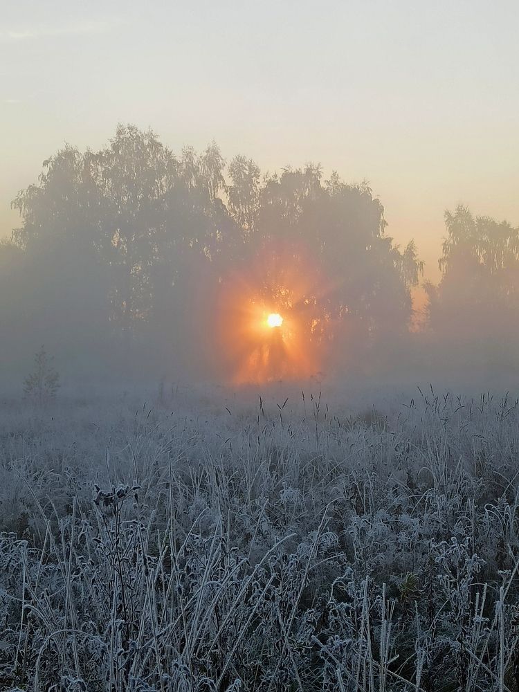 Photograph by Eлена Смирнова