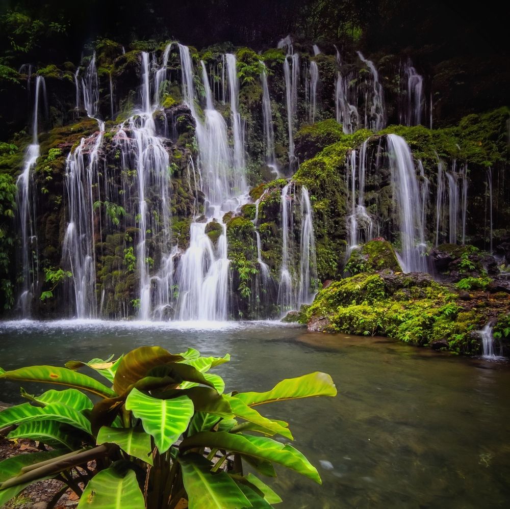 Photograph by Henri Fitriadi