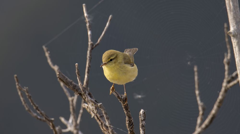 Photograph by Dejan Sajkovski