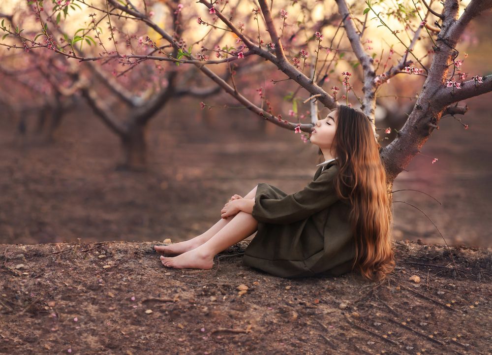 Photograph by Oran shuv