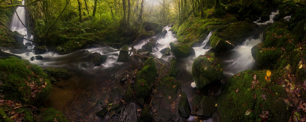 Фотография автора Laura Baratas