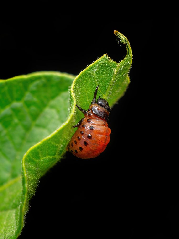 Photograph by Степан Соловьёв