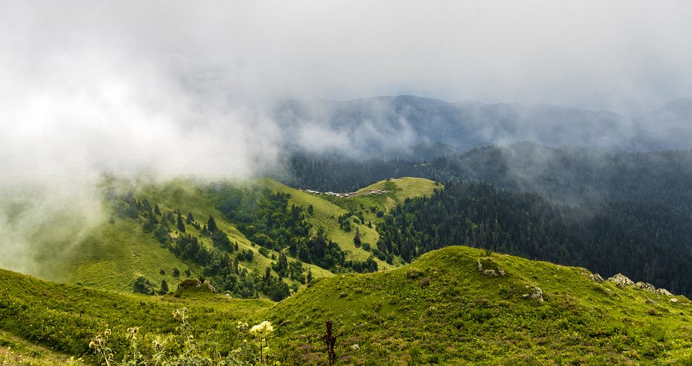 Photograph by Alex Kalpus