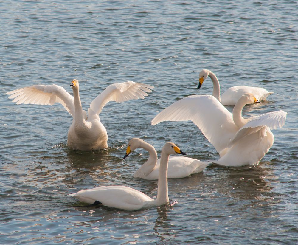 Photograph by Евгений Владимиров