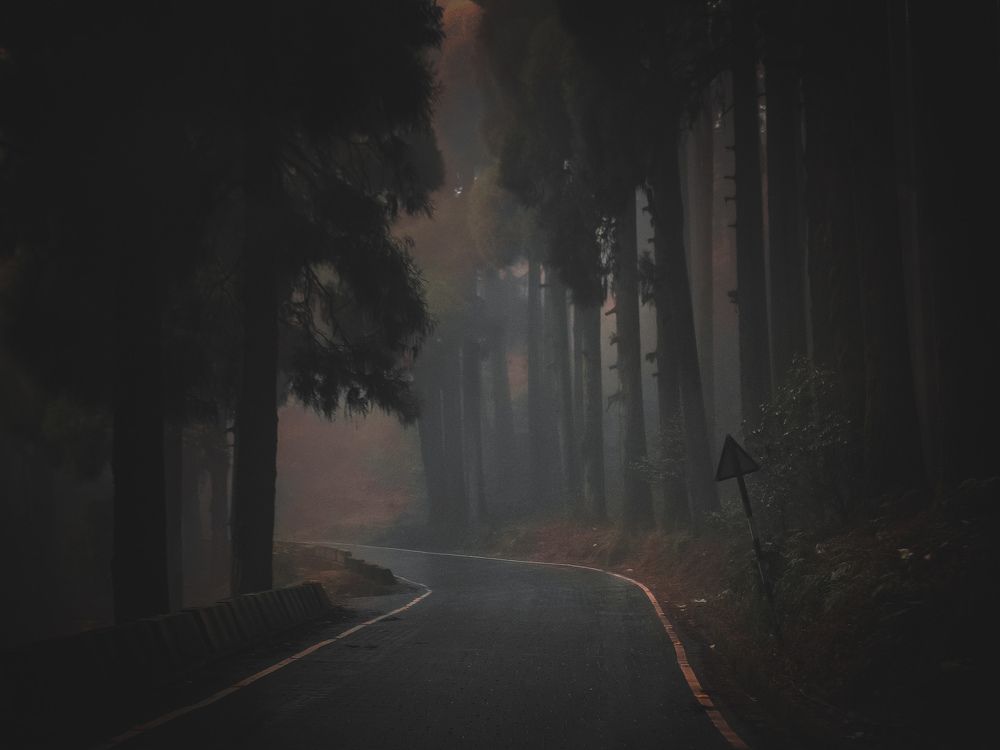 Photograph by V.Ramakrishnan