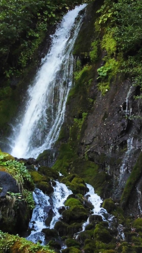 Photograph by Лариса Неудачина