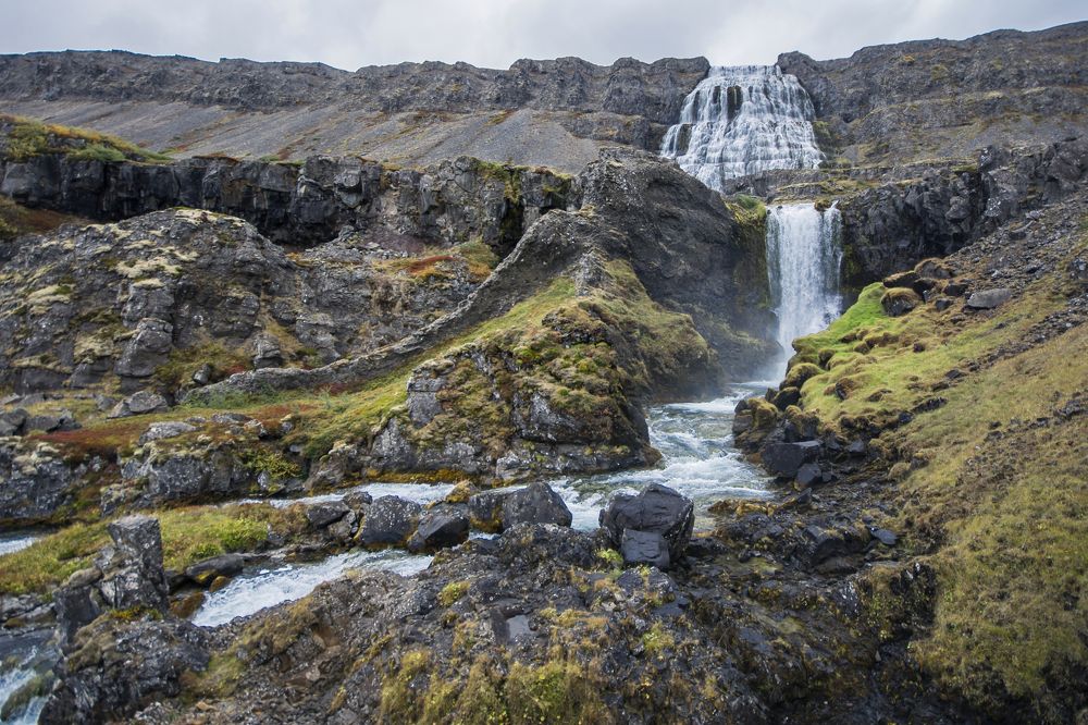 Photograph by Bruno Mottola