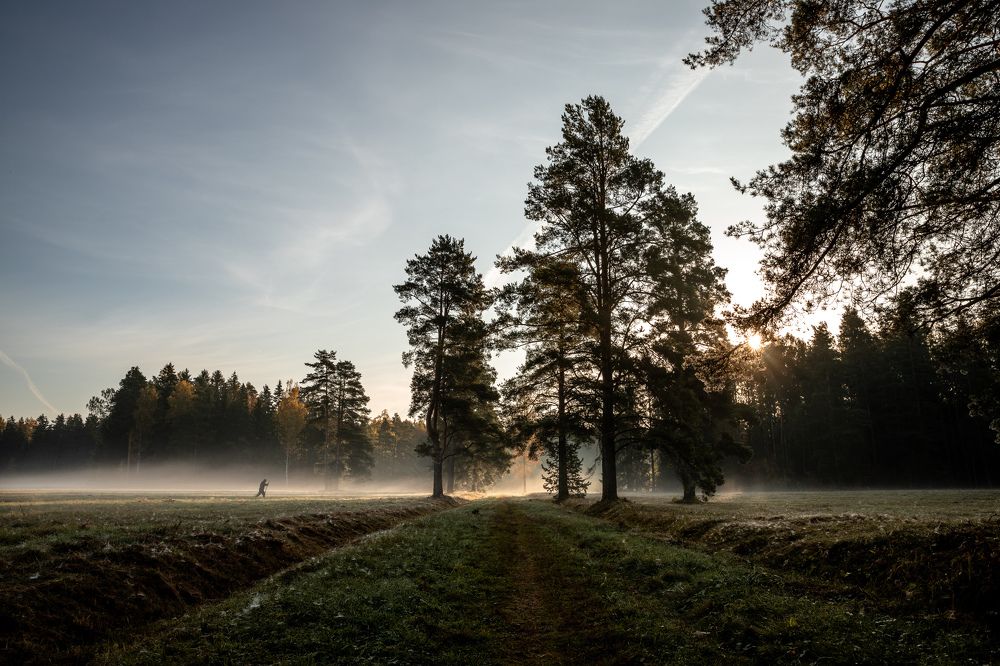 Photograph by Илья Юфа