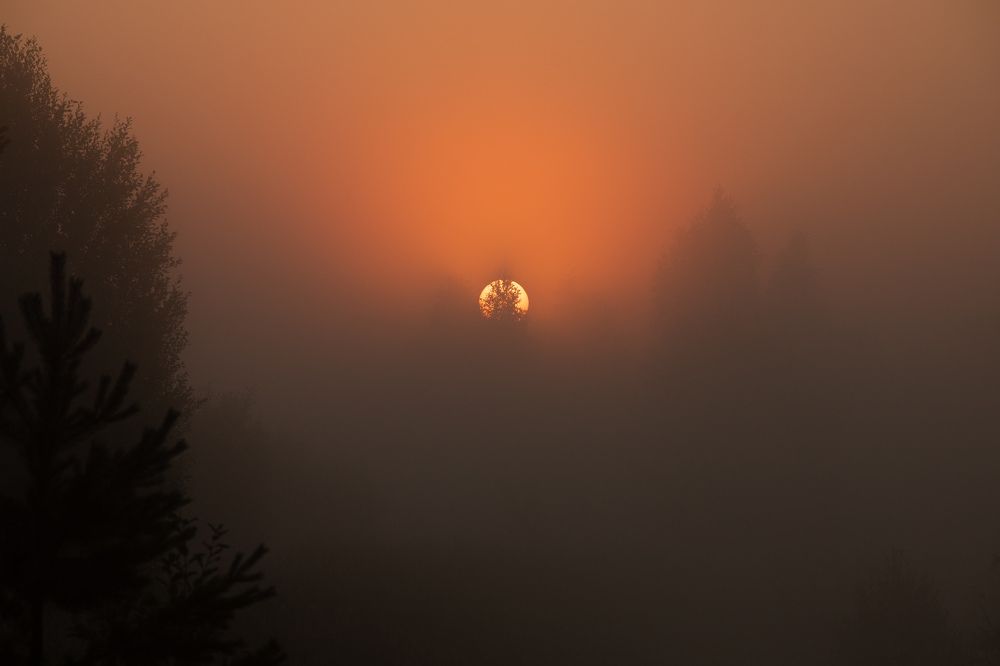 Photograph by Илья Юфа