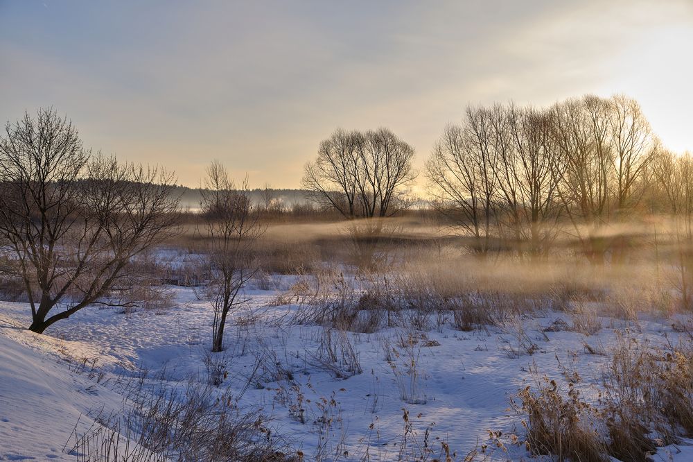 Photograph by Василий Арлашов