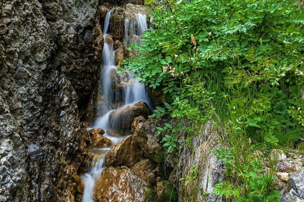 Photograph by Александр Грищенко