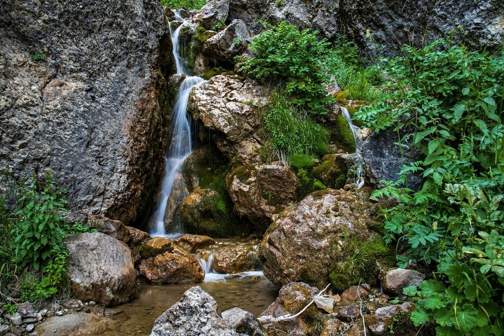 Photograph by Александр Грищенко