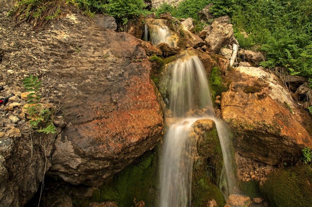 Photograph by Александр Грищенко