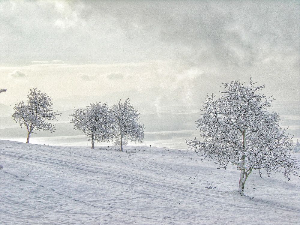 Photograph by Boštjan