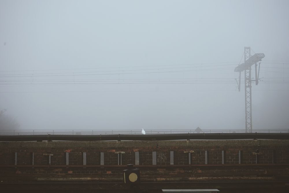 Photograph by Ирина Шпак