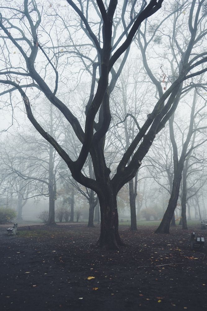 Photograph by Ирина Шпак