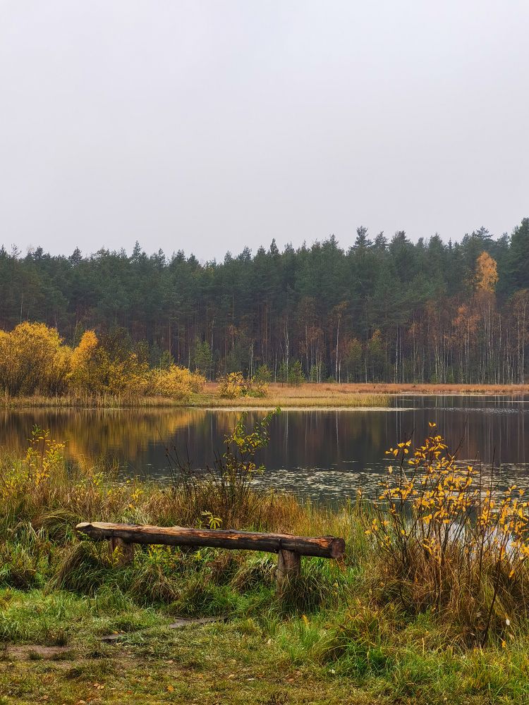Photo #6810128