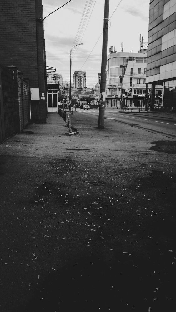 Фотография автора Николай Лысенко