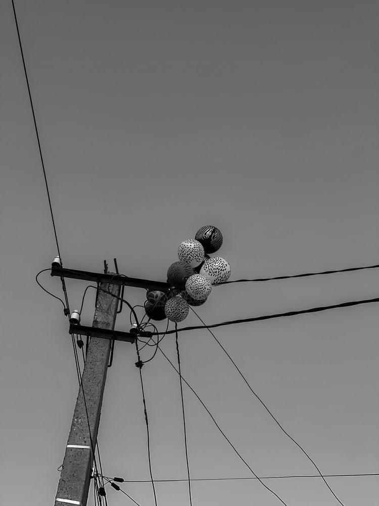 Фотография автора Николай Лысенко