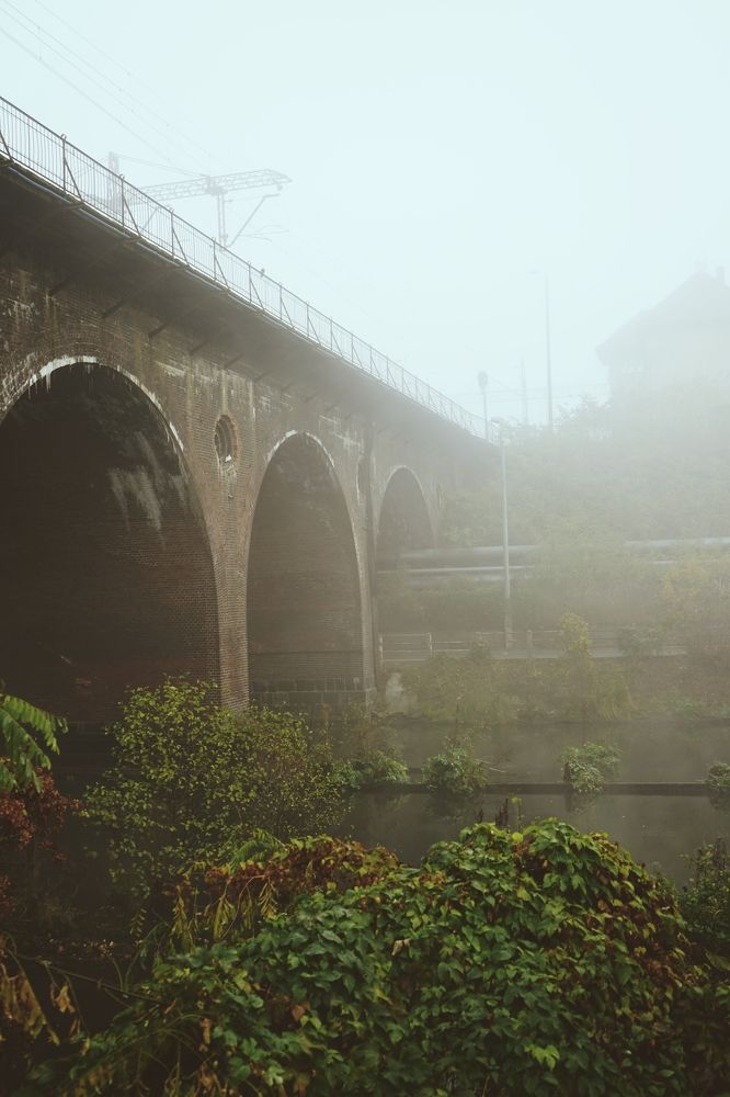 Photograph by Ирина Шпак