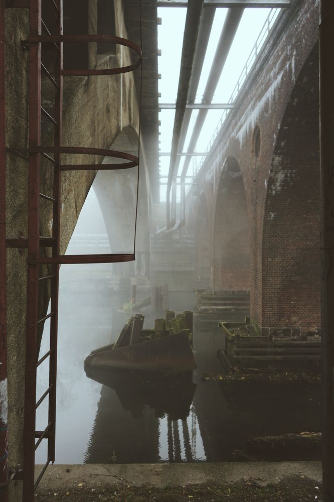 Photograph by Ирина Шпак