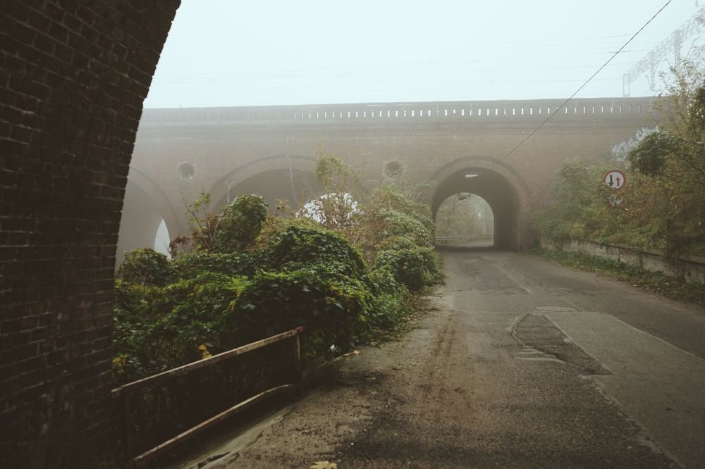 Photograph by Ирина Шпак