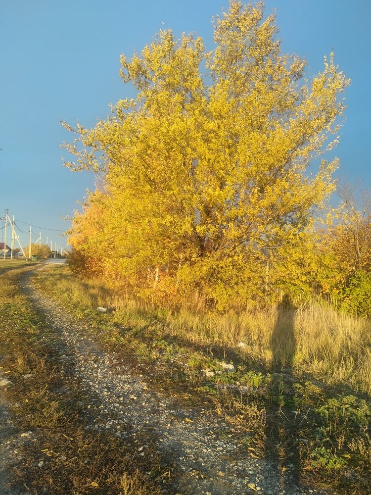 Photograph by Наталья Силова