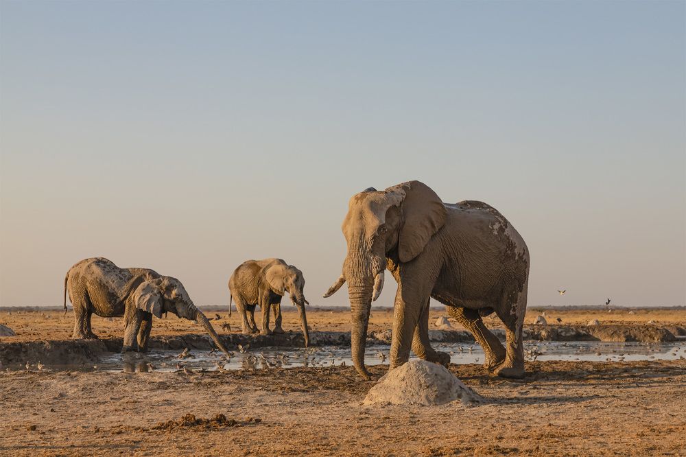 Фотография автора Anna