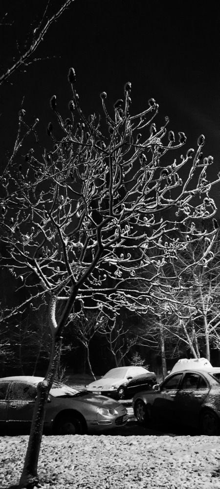 Photograph by Битерякова Юлия