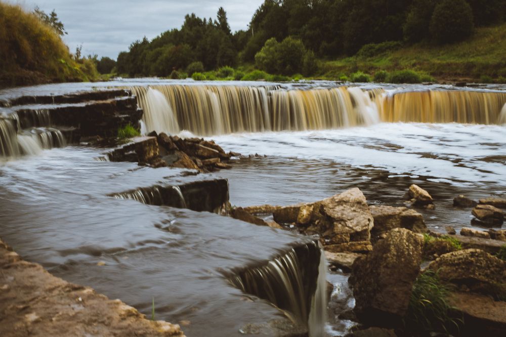 Photograph by Алина Логвиненко